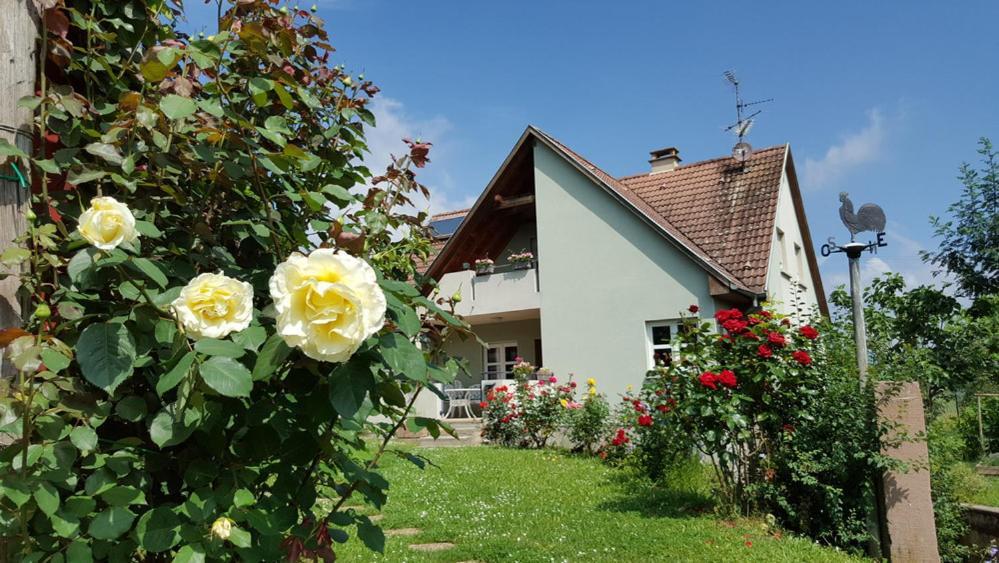 Le Gm Chambres D'Hotes De Charme En Alsace Mittelwihr Eksteriør bilde